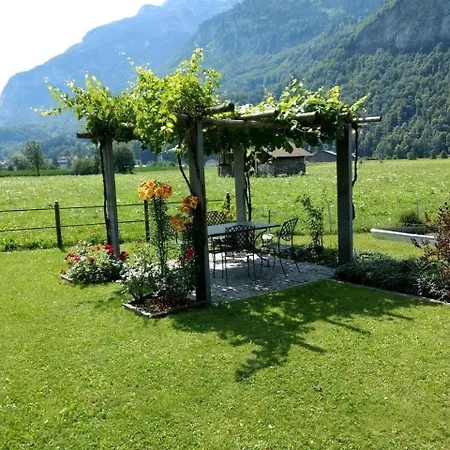 Mountain Panorama Eg 2 Bettwohnung * Meiringen